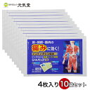 【第2類医薬品】シートパップID 4枚入×10袋セット+1袋...