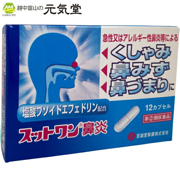 鼻炎には鼻かぜといわれる急性鼻炎、花粉等が原因となって起こるアレルギー性鼻炎といったいくつかのタイプがあります。これらによるくしゃみ、鼻みず、鼻づまり等の症状は不快なものです。鼻にきたら早めの手当てが大切です。 スットワン鼻炎は、塩酸プソイドエフェドリン、含む4種の有効成分がすぐれた効果を発揮し、この様な諸症状を緩和します。 商品情報 商品名 スットワン鼻炎広告文責 とやまのくすり 越中富山の元気堂076-478-0021製造販売元 至誠堂製薬株式会社（奈良県御所市茅原220-1）区分 日本製／医薬品【指定第2類医薬品】使用上の注意 【してはいけないこと】（守らないとよりアレルギー症状を起こしたことがある人（2）次の症状のある人。　前立腺肥大による排尿困難（3）次の診断を受けた人。高血圧、心臓病、甲状腺機能障害、糖尿病2.本剤を服用している間は、次のいずれの医薬品も服用しないこと他の鼻炎用内服液、抗ヒスタミン剤を含有する内服薬等【かぜ薬、鎮咳去痰薬、乗り物酔い薬、アレルギー用薬等）、塩酸フェニルプロパノールアミンを含有する内服薬等（かぜ薬、鎮咳去痰薬）3.服用後、乗り物又は機械類の運転操作をしないこと（眠気等があらわれることがある。）4.長期連用しないこと。【相談すること】1.次の人は服用前に医師、薬剤師又は登録販売者に相談すること。（1）医師の治療を受けている人。（2）妊婦又は妊娠していると思われる人。（3）授乳中の人。（4）高齢者。（5）薬などによりアレルギー症状を起こしたことがある人。（6）次の症状のある人。高熱、排尿困難（7）次の診断を受けた人。緑内障、糖尿病、甲状腺機能障害、心臓病、高血圧、腎臓病（8）モノアミン酸化酵素阻害剤（セレギレン塩酸塩等）で治療を受けている人。（9）かぜ薬、鎮咳去痰薬、鼻炎用内服液等により、不眠、めまい、脱力感、震え、動悸を起こしたことがある人。2.服用後、次の症状があらわれた場合は副作用の可能性があるので、直ちに服用を中止し、この文書をもって医師、薬剤師又は登録販売者に相談すること。関係部位　症状皮膚　発疹・発赤、かゆみ消化器　吐き気・嘔吐、食欲不振精神神経系　めまい、不眠、神経過敏、けいれん泌尿器　排尿困難まれに下記の重篤な症状が起こることがある。その場合は直ちに医師の診断を受けること。症状の名称：症状ショック（アナフィラキシー）：服用後すぐに、皮膚のかゆみ、じんましん、声のかすれ、くしゃみ、のどのかゆみ、息苦しさ、動悸、意識の混濁等があらわれる。皮膚粘膜眼症候群（スティーブンス・ジョンソン症候群）中毒性表皮壊死融解症：高熱、目の充血、目やに、唇のただれ、のどの痛み、皮膚の広範囲の発疹・発赤等が持続したり、急激に悪化する。再生不良性貧血：青あざ、鼻血、歯ぐきの出血、発熱、皮膚や粘膜が青白くみえる、疲労感、動悸、息切れ、気分が悪くなりくらっとする、血尿等があらわれる。無類粒球症：突然の高熱、さむけ、のどの痛み等があらわれる。3.服用後、次の症状があらわれることがあるので、このような症状の持続又は増強が見られた場合には、服用を中止し、この文書を持って医師、薬剤師又は登録販売者に相談すること。口のかわき、眠気4.5〜6日服用しても症状がよくならない場合は服用を中止し、この文書を持って医師、薬剤師、又は登録販売者に相談すること。効能・効果 急性鼻炎、アレルギー性鼻炎又は副鼻腔炎による次の諸症状の緩和、：くしゃみ、鼻みず(鼻汁過多)、鼻づまり、なみだ目、のどの痛み、頭重(頭が重い)用法・容量 15才以上　1回1カプセル15才未満　服用しないこと1日3回食後なるべく30分以内に水又はお湯にて服用して下さい。成分・分量 1日量(3カプセル中)(1cap:360mg)リゾチーム塩酸塩 48mg(力価) クロルフェニラミンマレイン酸塩 7mg 塩酸プソイドエフェドリン(PSE) 120mgdl-メチルエフェドリン塩酸塩 60mg無水カフェイン 100mg添加物 乳糖水和物、結晶セルロース、部分アルファー化デンプン、クエン酸Ca、ステアリン酸Mg、ゼラチン、酸化チタン、ラウリル硫酸Na、マクロゴール保管上及び取扱い上の注意 1.直射日光の当たらない、湿気の少ない涼しい所に保管してください。2.小児の手の届かない所に保管してください。3.他の容器に入れ替えないでください。（誤用の原因になったり品質が変わります。）4.使用期限（外箱に記載）を過ぎた製品は使用しないでください。■必ずご確認ください■ このお薬は厚生労働大臣が指定する「濫用等のおそれのある医薬品」に該当します。 当店又は他店にて同じ医薬品や他の「濫用等のおそれのある医薬品」を同時期にご購入された方は、ご注文前に薬剤師・登録販売者にご相談ください。 ご注文は、当ページにある質問にご回答いただき、ご購入のお手続きをお進めください。 ご注文確定後、登録販売者がお客様の回答内容について確認の連絡をさせて頂く場合がございます。 また販売できないと判断した場合は、ご注文をキャンセルさせて頂きます。あらかじめご了承ください。 2