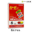 【第(2)類医薬品】ラモンA1カプセル 6カプセル 富山 中央薬品 ※こちらの商品はお一人様1箱限りとなります