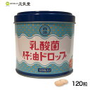 乳酸菌肝油ドロップ 120g（1粒1g×120粒） 乳酸菌 ビタミンA ビタミンD ビタミンC 腸活 西海製薬株式会社