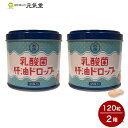 乳酸菌肝油ドロップ 120g(1粒1g×120粒)2個セット 乳酸菌 ビタミンA ビタミンD ビタミンC 腸活 西海製薬株式会社 贈り物 母の日ギフト 母の日
