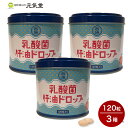 乳酸菌肝油ドロップ 120g(1粒1g×120粒)3個セット 乳酸菌 ビタミンA ビタミンD ビタミンC 腸活 西海製薬株式会社 贈り物 母の日ギフト 母の日