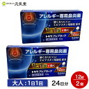 【クーポンで最大20%OFF 楽天スーパーSALE 】【第2類医薬品】トキワアレブロック12錠 2箱セット常盤薬品工業 セルフメディケーション税制対象 鼻炎薬 花粉症 花粉生薬 ハウスダスト アレルギー くしゃみ 鼻みず 鼻づまり 置き薬 配置薬 スーパーセール