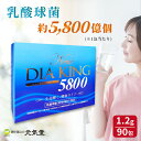 NEWダイヤキング5800 90包 乳酸球菌 (BRM成分) 食品 EF-621K菌 腸活 ダイヤ製薬 贈り物 母の日ギフト 母の日