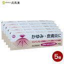【第(2)類医薬品】ダルトレシンA軟膏 20g 5個セット 第一薬品工業 新生薬品 置き薬 配置薬 富山