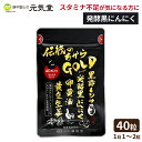 伝統のちから ゴールド 40粒 黒酢 もろみ 黒にんにく 発酵黒にんにく 卵黄油 アミノ酸 しょうが 黄金生姜 ビタミン カルシウム ビタミンB1 DHA EP...