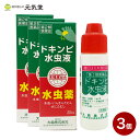 ドキンピ水虫液 20ml 3個セット 松浦薬業 水虫 たむし 木槿皮