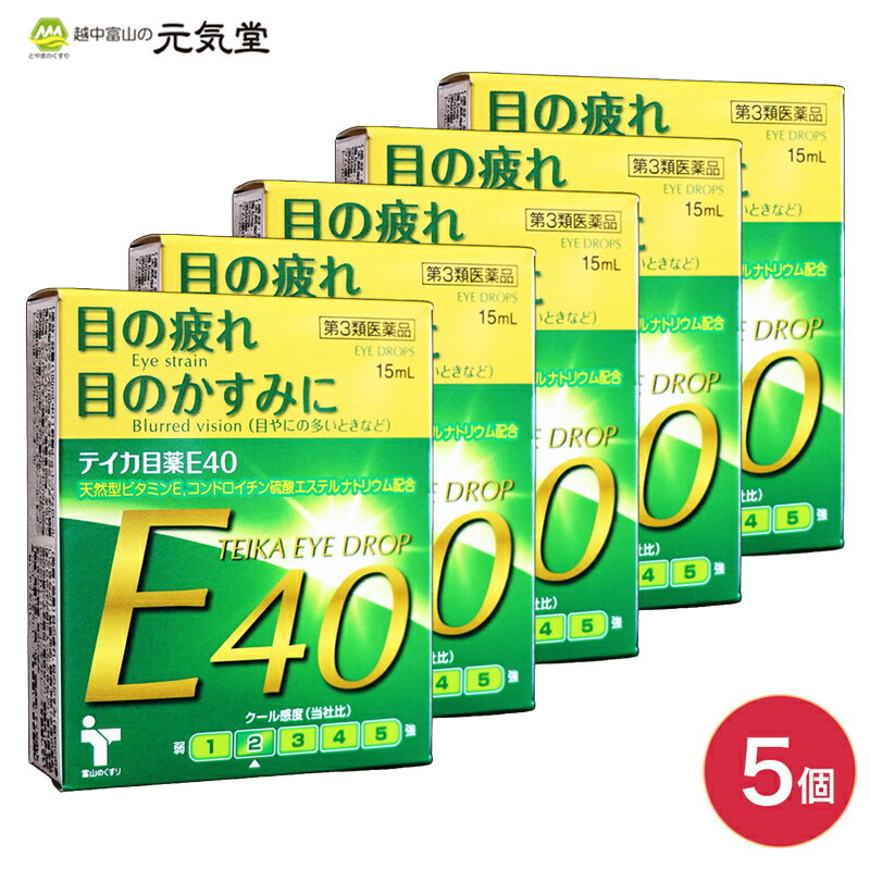 テイカ目薬E40 15ml 5個セット 置き薬 配置薬 富山 テイカ製薬