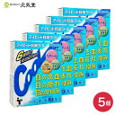 【第2類医薬品】アイビット目薬クール10mL 5箱セットテイカ製薬 目薬 無色 無色透明 目の疲れ 目のかすみ 目のかゆみ 目やに 結膜充血 眼病予防 眼炎 雪目 眼瞼炎 パンテノール クロルフェニラミンマレイン塩酸 ナファゾリン塩酸塩 置き薬 配置薬 富山