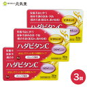 【指定医薬部外品】ハダビタンC 30包 3個セット 第一薬品工業 贈り物 母の日ギフト 母の日