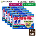 【第(2)類医薬品】ノーエチW顆粒 8包 5箱セット セルフメディケーション税制対象 アセトアミノフェン エテンザミド芍薬 甘草 生薬 漢方 解熱鎮痛 頭痛 痛...