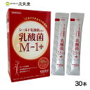 乳酸菌M-1+ 30本 乳酸菌 腸活 常盤薬品工業 贈り物