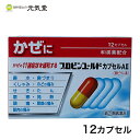 プロピンゴールドカプセルAII 12カプセル セルフメディケーション税制対象 風邪薬 かぜ薬 置き薬 配置薬 富山 富山めぐみ製薬 ※こちらの商品はお一人様1箱限りとなります