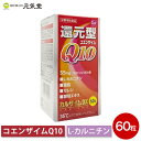 カルザイムDX 60粒 第一薬品工業 富山