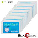 【P10倍!5/31(土)まで】 【第3類医薬品】シートハップP 5枚入 15袋セット 湿布 貼り薬 置き薬 配置薬 富山 大協薬品工業