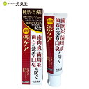【医薬部外品】薬用はみがき 渋ケア 100g 常盤薬品工業 ギフト ラッピング 贈り物