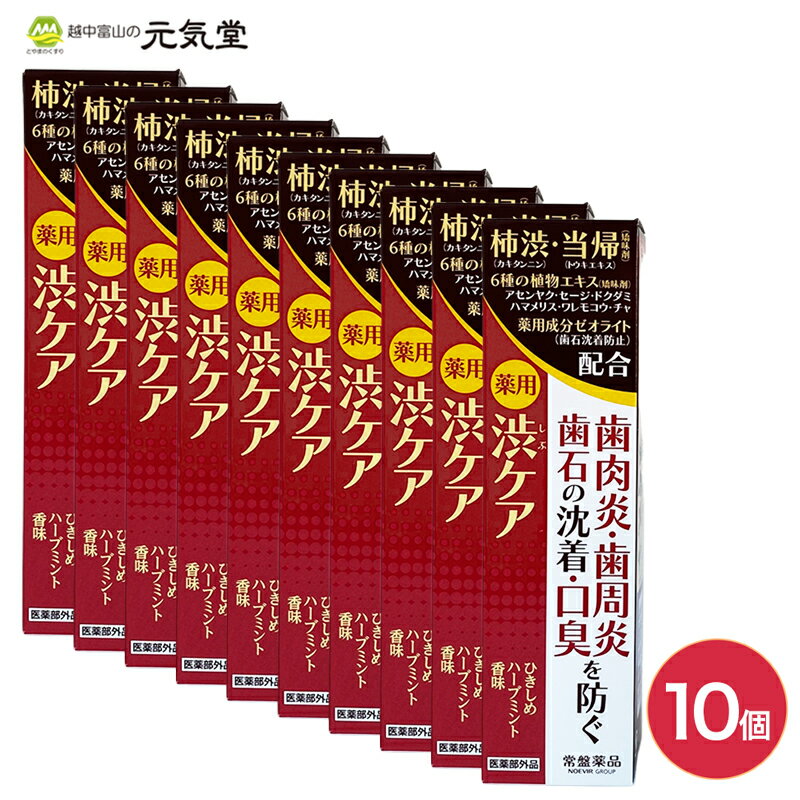 【医薬部外品】薬用はみがき渋ケア10個セット 常盤薬品工業 ギフト ラッピング 贈り物 父の日ギフト 父の日 父の日2025