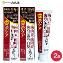 【医薬部外品】薬用はみがき 渋ケア 100g 2個セット 常盤薬品工業 ギフト ラッピング 贈り物
