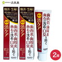 【母の日対象商品P10倍！5/12(日)まで】【医薬部外品】薬用はみがき 渋ケア 100g 2個セット 常盤薬品工業 【 母の日のプレゼントに】 その1