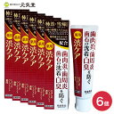 【医薬部外品】薬用はみがき 渋ケア 100g 6個セット 常盤薬品工業 ギフト ラッピング 贈り物