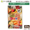 ※在庫完売後2,052円→2,160円に価格改定 植物発酵 288 60粒 植物発酵エキス 植物性乳酸菌 アマニ油 オメガ3 アマニオイル 腸サプリ 植物性 乳...