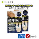 鼻呼吸テープ 15枚入 2箱セット 1000円ポッキリ 買いまわり 大協薬品工業 ナイトテープ マウステープ 日本製 U字 口呼吸 鼻呼吸 いびき テープ 口閉...