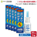 【第2類医薬品】雪の元 点鼻スプレー30mL 5箱セット 雪の元本店 セルフメディケーション税制対象 花粉症 鼻スプレー 点鼻薬 スプレー アレルギー性鼻炎 急...