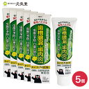 【医薬部外品】トゥースプロテクト 100g 5個セット 薬用はみがき 薬用歯磨き 薬用ハミガキ ギフト ラッピング 贈り物