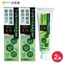 【医薬部外品】トゥースプロテクトPRO 天峰 80g 2個セット 薬用はみがき 薬用歯磨き 薬用ハミガキ ギフト ラッピング 贈り物