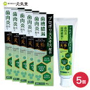 【医薬部外品】トゥースプロテクトPRO 天峰 80g 5個セット 薬用はみがき 薬用歯磨き 薬用ハミガキ ギフト ラッピング 贈り物