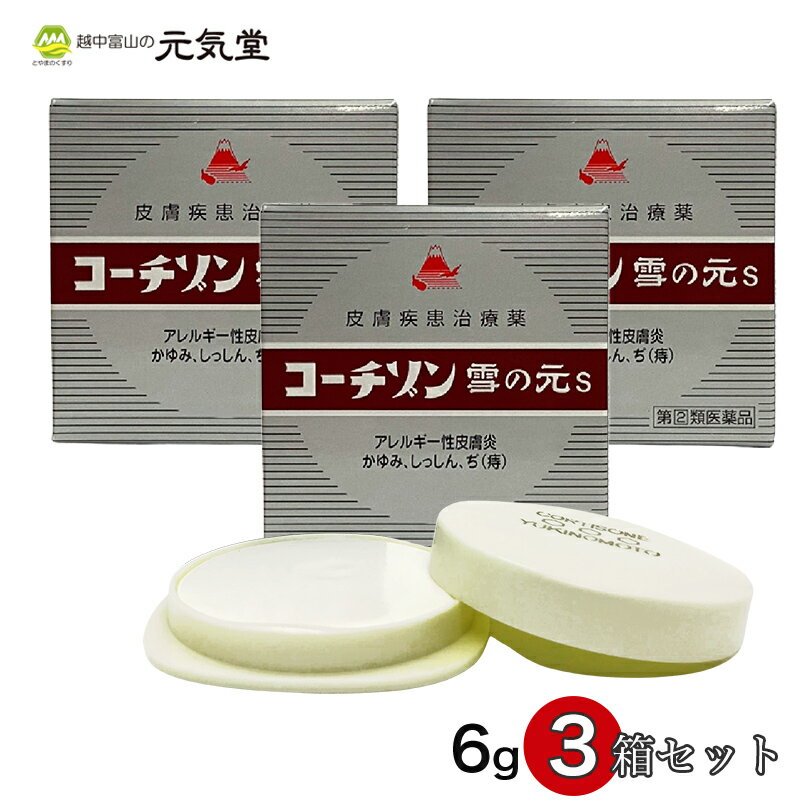 ※在庫がなくなり次第販売終了【第(2)類医薬品】コーチゾン雪の元S6g 3箱セット 雪の元本店 軟膏 置き薬 配置薬