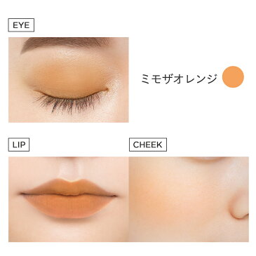 エトヴォス ( ETVOS ) ミネラルマルチパウダー 「目元も頬も、唇も。ゆらぎ肌を、さっと染め上げる多機能カラー。」 【30日間返品保証】 ミネラル アイシャドウ アイシャドー チーク ベージュ オレンジ ピンク 敏感肌低刺激 アイメイク 化粧品 ミネラルメイク