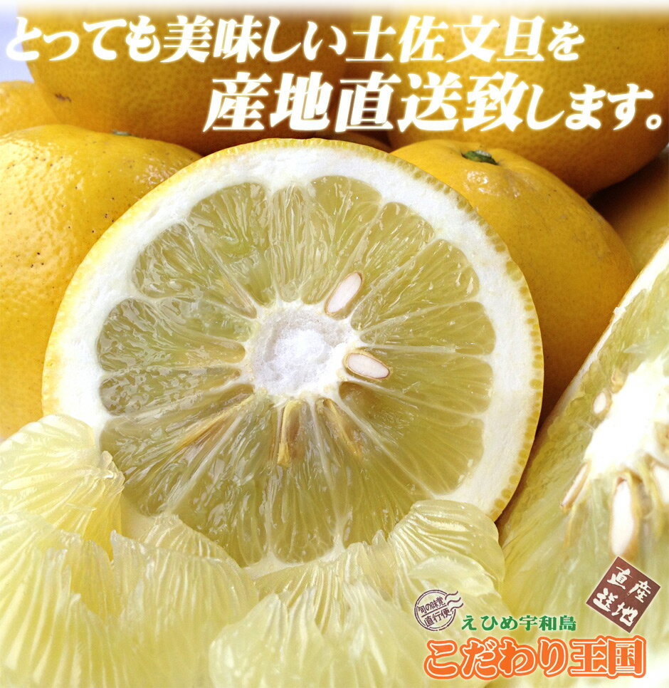 ����ɲ��ʸö �� ��ɲ�� ����Į�� ������ �ں�ʸö 10kg ������̵�����̳�ƻ�����츩�Ͻ����� ʸö �Ȥ��֤󤿤� ������ Ȣ�㤤 10���� M L 2L 3L