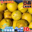 \ご家庭用 B品 うわじま文旦 中玉 小玉/ 愛媛県 宇和島産 訳あり 土佐文旦 2L-Mサイズ 10kg 【送料無料※北海道・沖縄県は除く】 M L 2L 文旦 宇和島 熟 美味 とさぶんたん 自宅用 訳あり 箱買い 10キロ B品