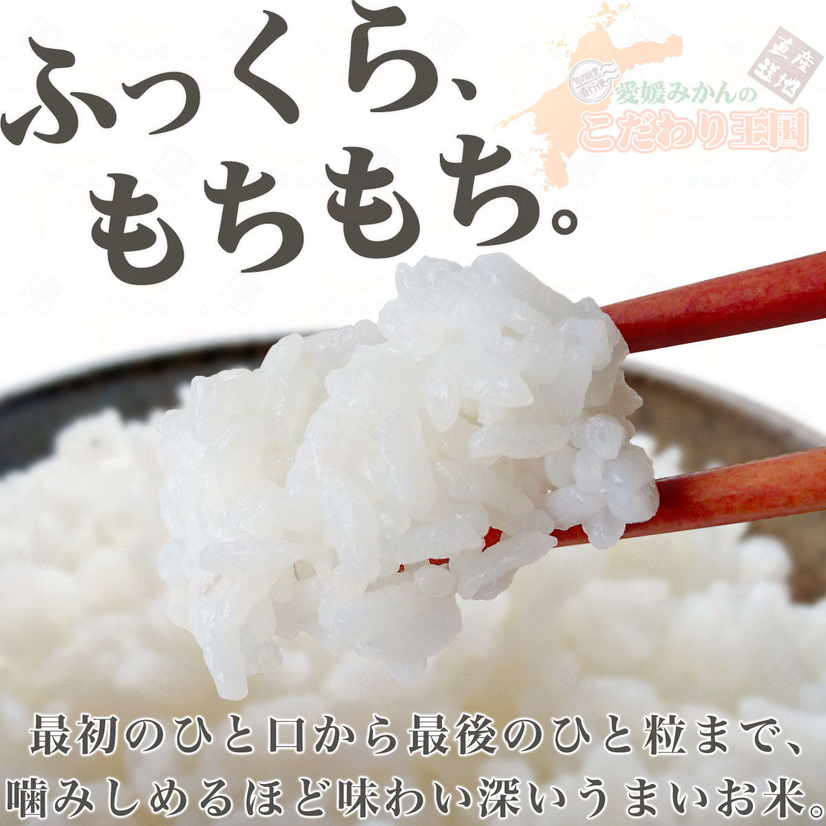 【楽天市場】【H28年度産】愛媛県南予地方のうまい米【三間米／篠山清流米】 > 愛媛No.1 ブランド米 愛媛県宇和島産 「三間米（みままい