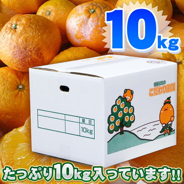 愛媛県産 甘夏 サイズ込み 10kg 家庭用 訳あり 【送料無料※北海道・沖縄県は除く】 ジューシー 多果汁 あまなつ みかん 自宅用 箱買い 10キロ