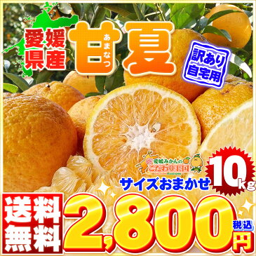 愛媛県産 甘夏 サイズ込み 10kg 家庭用 訳あり 【送料無料※北海道・沖縄県は除く】 ジューシー 多果汁 あまなつ みかん 自宅用 箱買い 10キロ