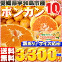 愛媛県産 訳あり 宇和島ポンカン10kg【送料無料※北海道・...
