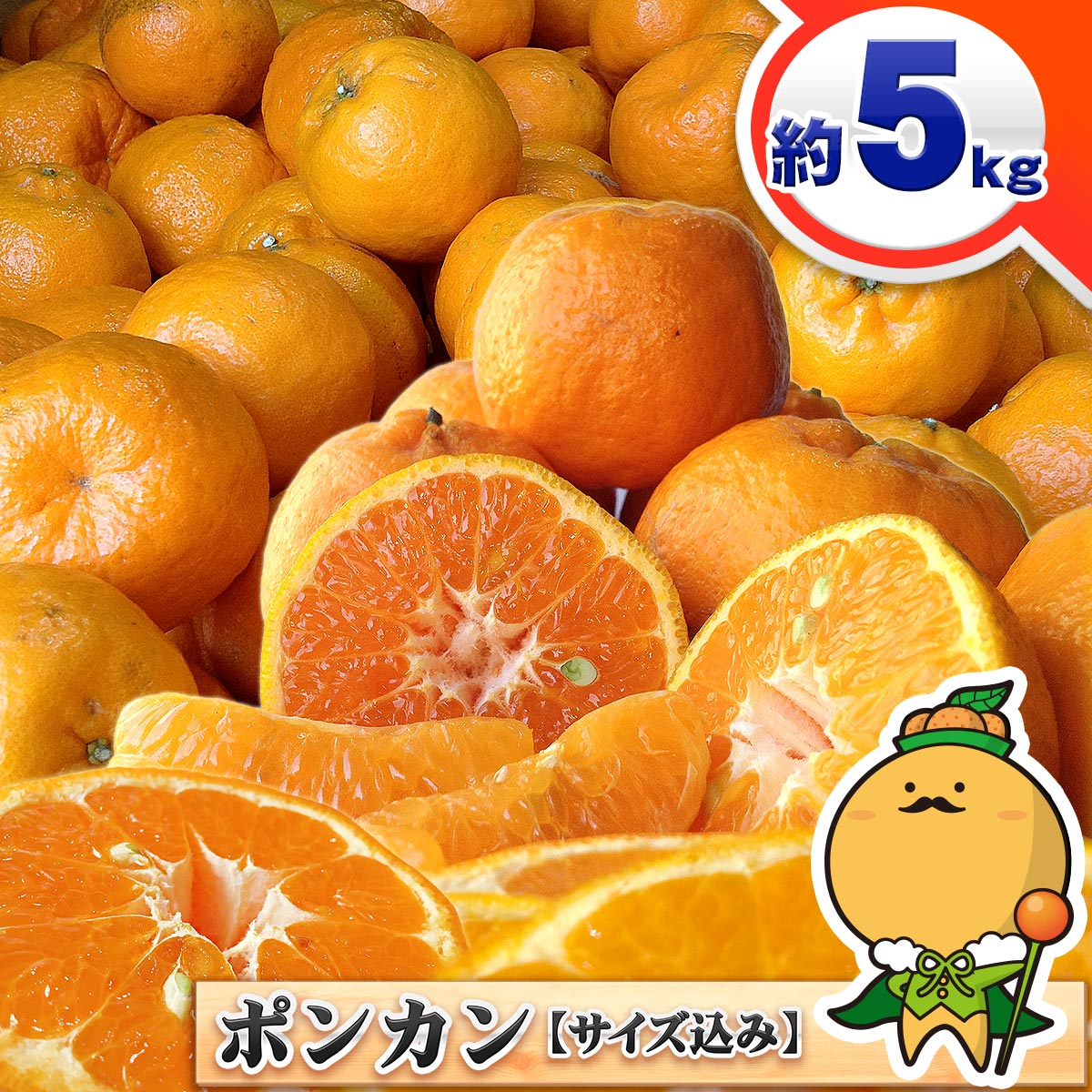 愛媛県産 訳あり ポンカン 約5kg サイズ込み 送料無料 宇和島 自宅用 家庭用 箱買い 大きさおまかせ 今津 太田 愛媛 みかん こだわり 王国 熟 柑橘 4.5キロ ～ 5キロのサムネイル