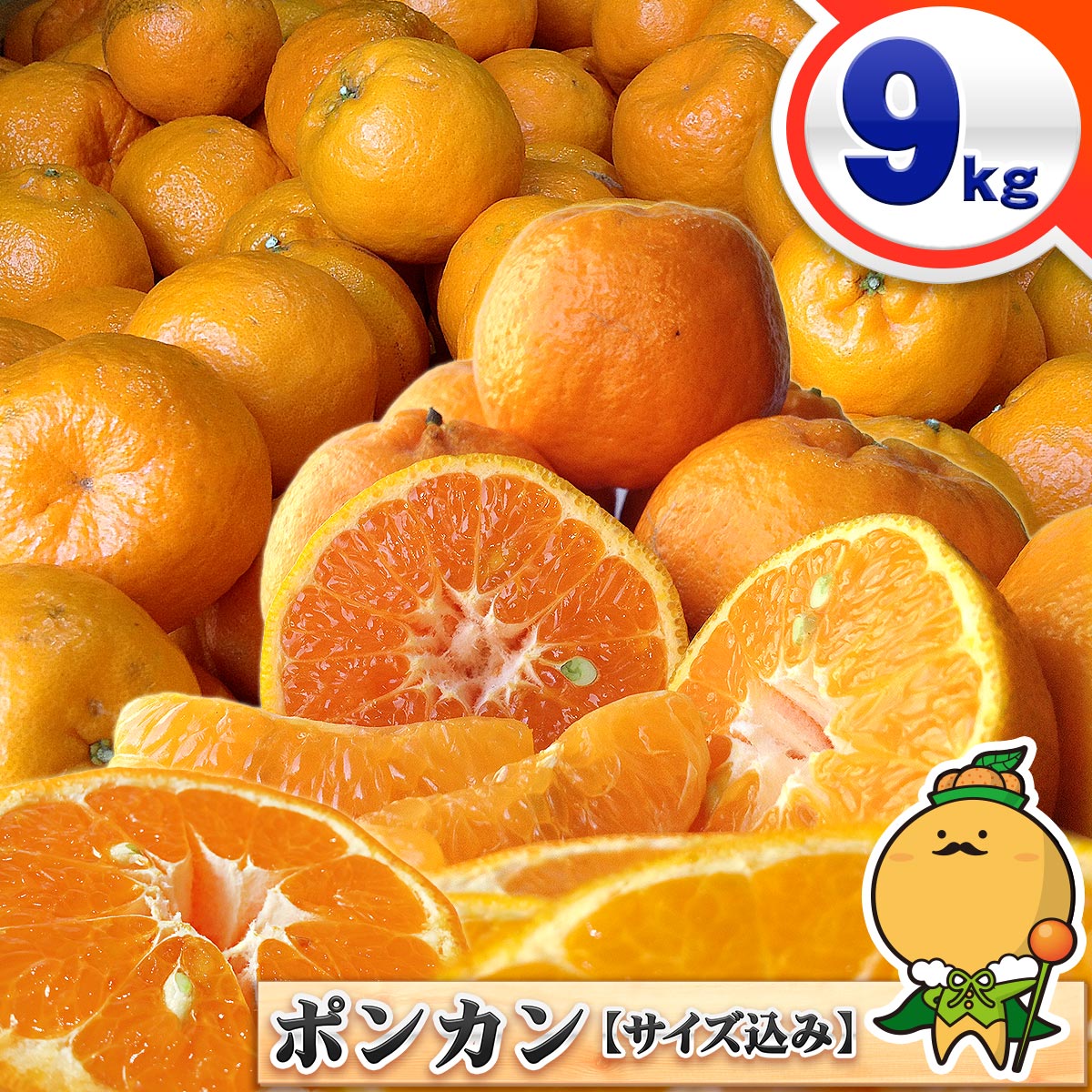 愛媛県産 訳あり ポンカン 9kg サイズ込み 送料無料 宇和島 自宅用 家庭用 箱買い 大きさおまかせ 今津 太田 愛媛 みかん こだわり 王国 熟 柑橘 9キロのサムネイル