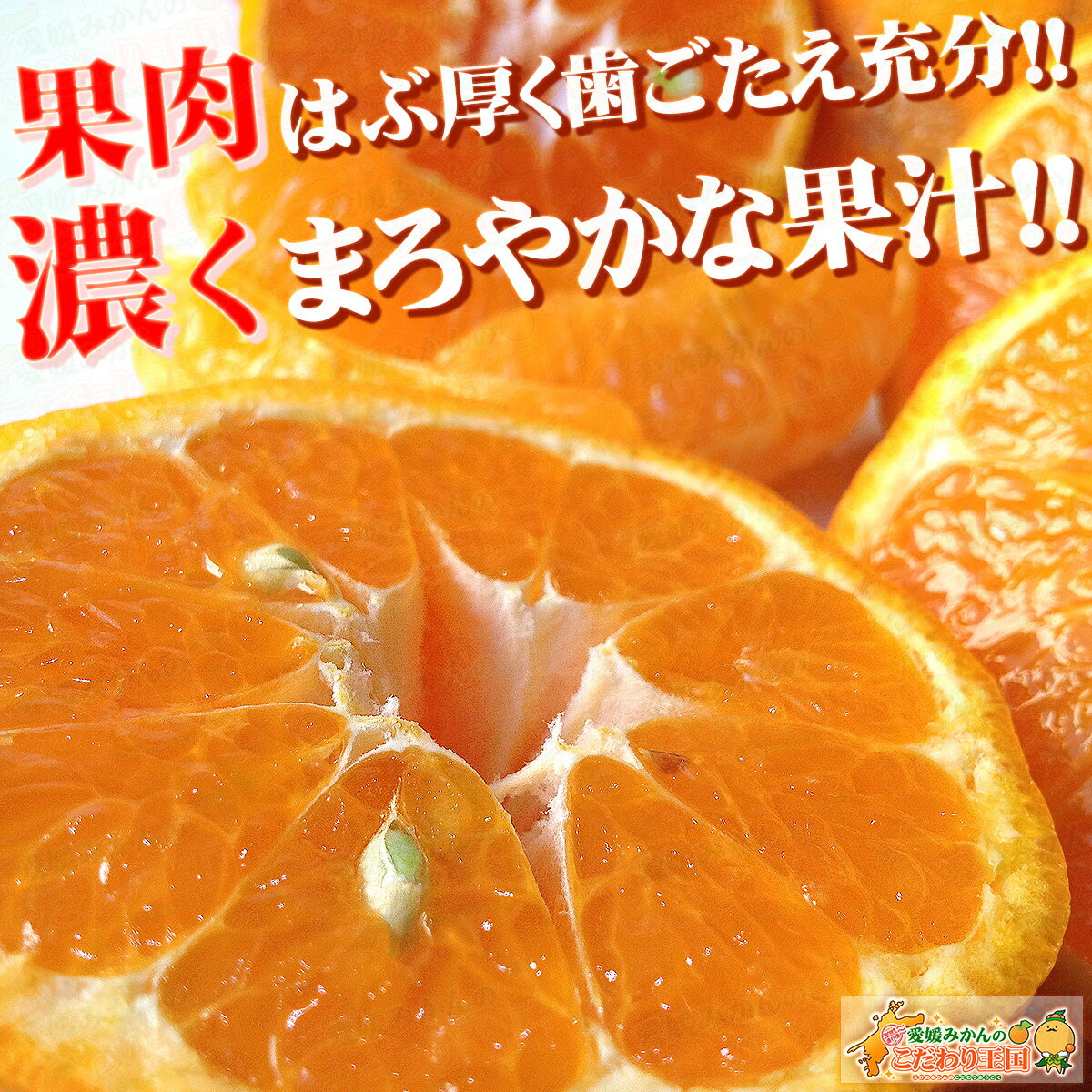 ��ɲ���� ������ �ݥ󥫥� ���������� ����̵�� ������ ������ ������ Ȣ�㤤 �礭�����ޤ��� ���� ���� ��ɲ �ߤ��� ������� ���� �� ����