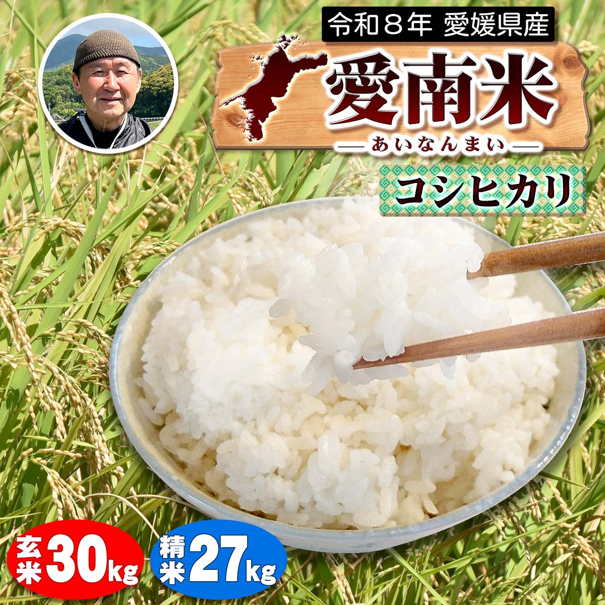 楽天市場】愛媛 玄米の通販