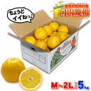 ＼おためしに小箱で5キロ／  愛媛県 愛南町産 ご家庭用 河内晩柑 5kg M 〜 2L サイズ  訳あり品 自宅用 箱買い かわちばんかん 別名 宇和ゴールド 愛南ゴールド 美生柑 和製グレープフルーツ ジューシーオレンジ