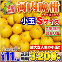 【樹齢20年以上】 愛媛県産 河内晩柑 小玉 Sサイズ 11kg 家庭用 訳あり 【送料無料※一部地域除く】 自宅用 箱買い かわちばんかん 別名 宇和ゴールド 愛南ゴールド 美生柑 みしょうかん ナダオレンジ