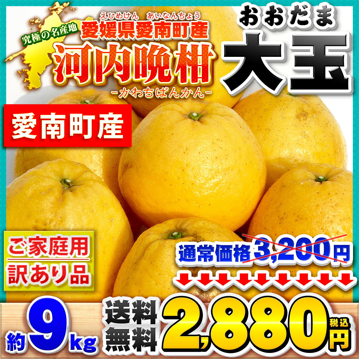 【樹齢20年以上】 特大ビッグサイズ 愛媛県 愛南町産 河内晩柑 訳あり 大玉サイズ ...