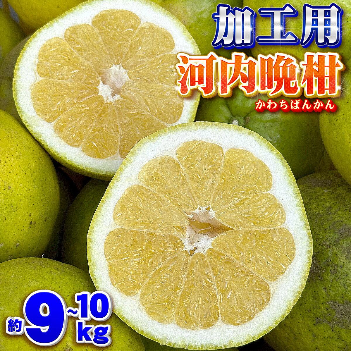 楽天市場】河内晩柑 大玉の通販