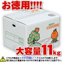 【樹齢20年以上】 愛媛県産 河内晩柑 小玉 Sサイズ 11kg 家庭用 訳あり 【送料無料※一部地域除く】 自宅用 箱買い かわちばんかん 別名 宇和ゴールド 愛南ゴールド 美生柑 みしょうかん ナダオレンジ