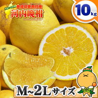 【樹齢20年以上】 愛媛県 愛南町産 ご家庭用 河内晩柑 10kg M～2Lサイズ 【 送料無...