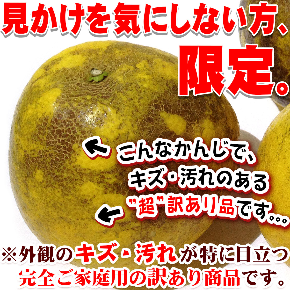 愛媛県 愛南町産 特に訳あり 可哀そうな 河内晩柑 サイズ込み 10kg もったいない かわいそうな 晩柑 家庭用 自宅（3枚目）