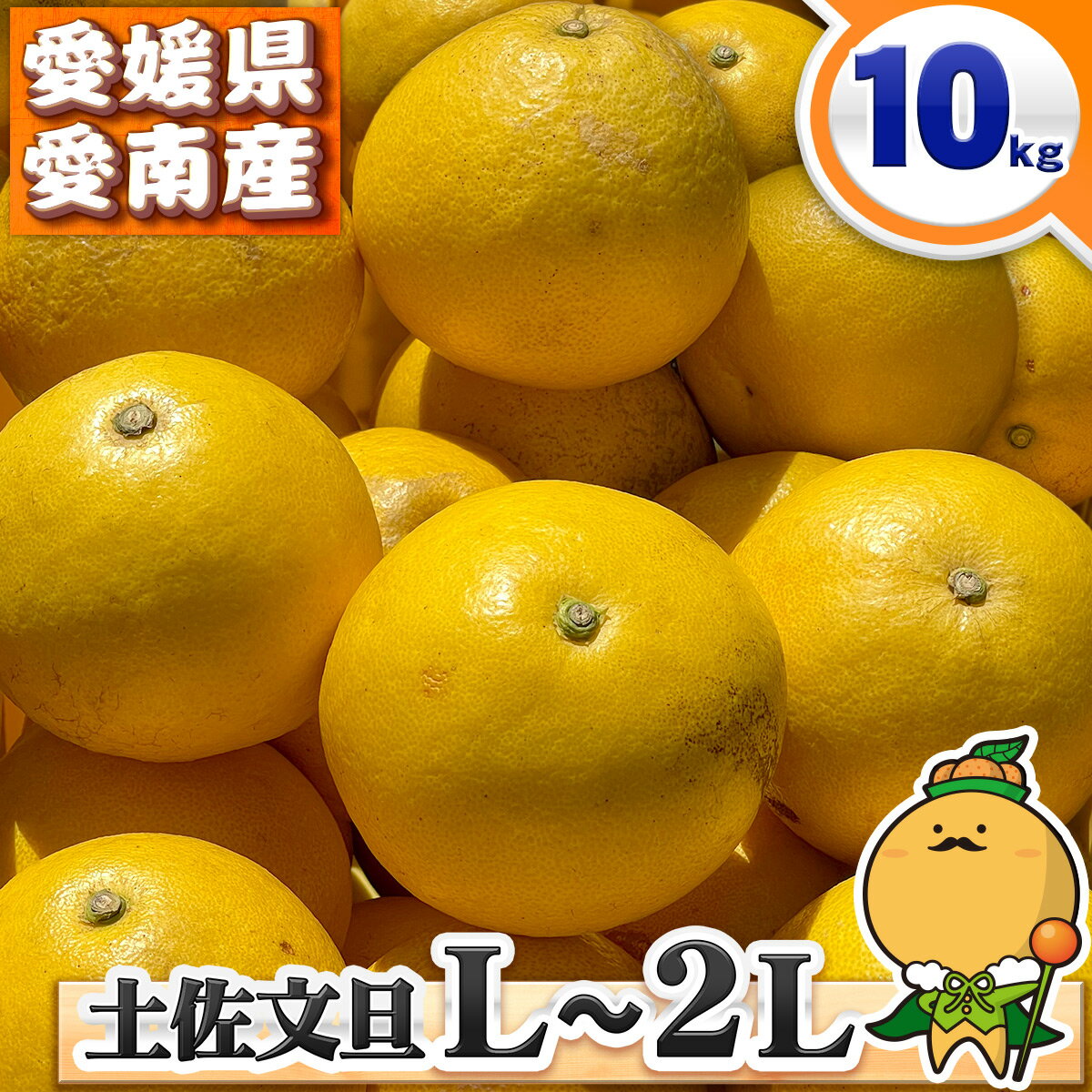 ＼愛媛の文旦 ／ 愛媛県 愛南町産 訳あり 木成り完熟 土佐文旦 中玉 L～2Lサイズ 10kg 【送料無料※北海道・沖縄県は除く】 L～2L レギュラーサイズ とさぶんたん 家庭用 自宅用 箱買い 10キロのサムネイル